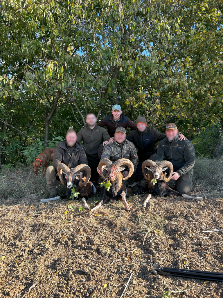 Mouflon Hunters